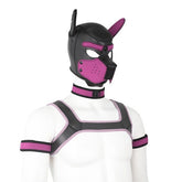 Neoprene Gay Pup Gear Starter Kit - The RainbowBoys